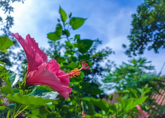 Bumi Gumati ConventionHotel di Bogor