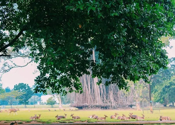 Salak The HeritageHotel di Bogor